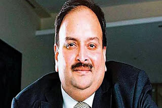 fugitive diamantaire Mehul Choksi