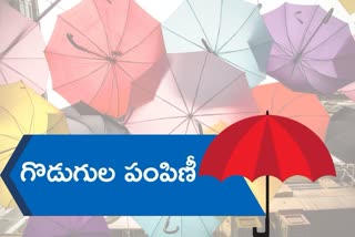 umbrella, umbrella distribution, umbrella distribution in warangal