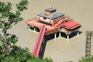 dhari devi