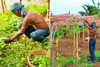 farmer doing farming