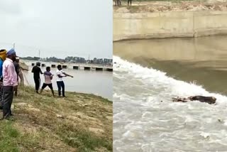 karnal canal dead body found