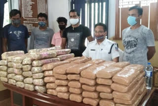in-two-separate-case-siliguri-commissionerate-police-recover-120-kg-cannabis-and-one-fire-arms-in-phulbari
