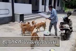 chikkamagalore umashankar supplying food to street dogs