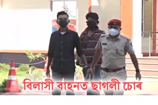 goat-theft-arrested-at-dibrugarh