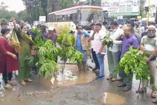 रस्त्यावरील खड्ड्यांच्या निषेधार्थ खासदार-आयुक्तांच्या नावाने वृक्षारोपण