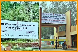Canceled of two paper mills auction process