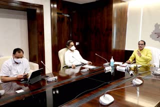 CM held meeting with district crisis management groups