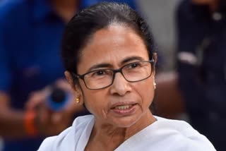 Mamata