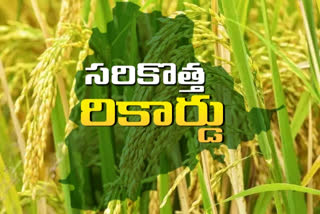 Telangana created new record in paddy procurement