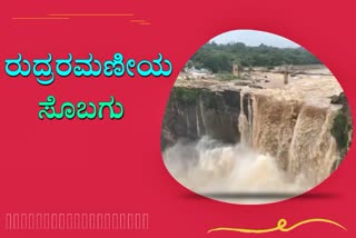 Gokak Falls flowing video