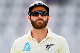 Kane Williamson