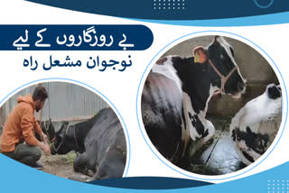 a youth shubham started dairy farm business in shopian jammu and kashmir