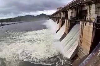 DAM