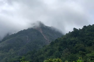 ടികെ കോളനി മലയിടിച്ചില്‍  അമരമ്പലം സംരക്ഷിത വനത്തില്‍ കോയിപ്ര മലവാരം  മലപ്പുറം  Koipra hill Landslide in New Amarambalam protected forest No casualties