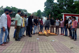 effigy of naxalism burnt in dhamtari