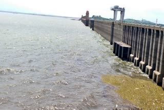 tungabhadra