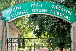 NGT instructed to Chief Secretaries of Delhi and Haryana for Najafgarh Lake