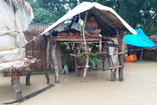 Bihar Flood