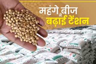 सोयाबीन बीज, सोयाबीन बीज महंगा,  किसान परेशान, soybean seed,  soybean seed expensive , farmers problem, government seeds, Kota News