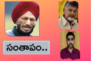 Chandrababu and Nara Lokesh  condolence to Milkha Singh death