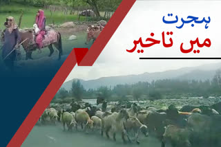 nomads migration delay this year due to coronavirus at pahalgam