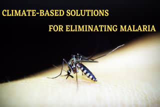 climate-based solutions, malaria