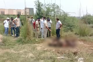 Hisar burnt body found government teacher