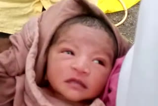 four days baby girl thrown to the side of the road in nanded