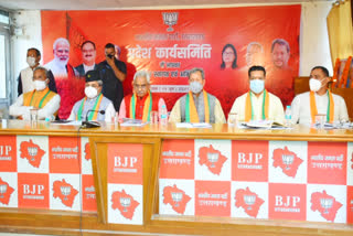 bjp working committee meeting