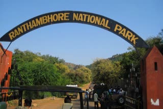 रणथंभोर नेशनल पार्क, Ranthambore National Park