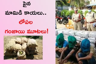 police seized cannabis one crore rupees worth