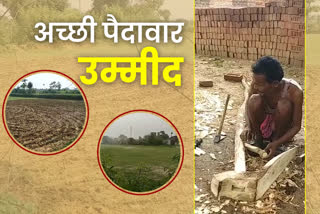 farmers-happy-due-to-monsoon-and-arrival-of-seeds-on-time-in-dhanbad