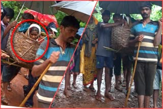 pregnant woman brought bamboo doli