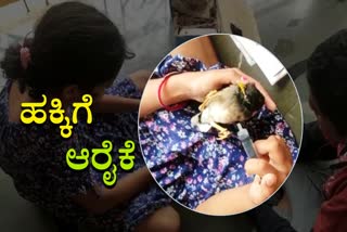 Girl saved injured bird in Kushtagi