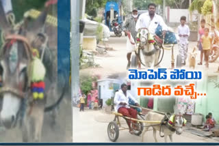 washerman purchased donkey cart for his work