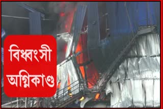 devastating fire in kamalpur