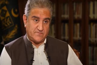 Pakistan wanted 'reconciliation' but India 'did not reciprocate', claims FM Qureshi