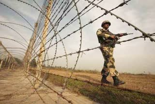 BSF caught Pakistani intruder, Barmer news