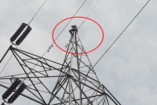 Youth climbed on hypertension electric tower, कोटा न्यूज
