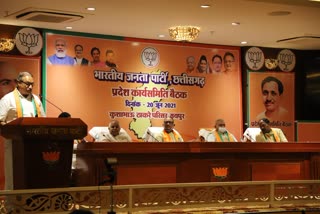 chhattisgarh-bjp-state-core-group-and-working-committee-meeting-was-held-in-raipur