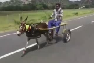 washerman got donkey cart