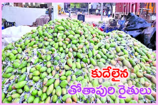 Thothapuri Mango:  తోతాపురి మామిడి రైతు దిగాలు.. టన్ను రూ.6 వేలే