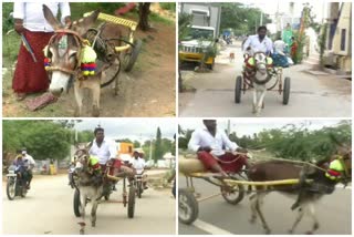 donkey cart