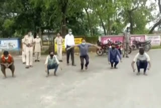 Watch the footsteps of the frog on the road