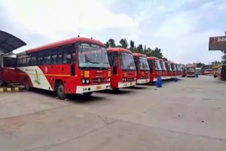 govt bus