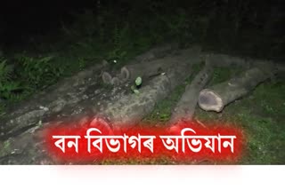 wood seized in bongaigaon