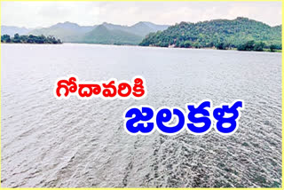 Godavari flow increasing