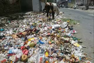 negligence of BVG company, cleanliness in Jaipur