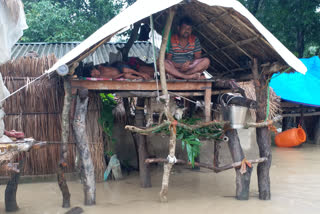 Several rivers flowing above danger level in Bihar