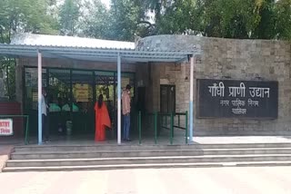 gwalior zoological park